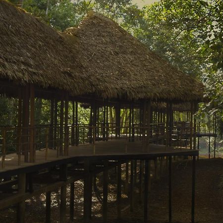 Treehouse Lodge Yucuruche Eksteriør billede