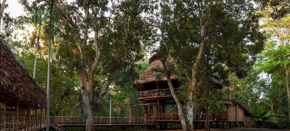 Treehouse Lodge Yucuruche Eksteriør billede
