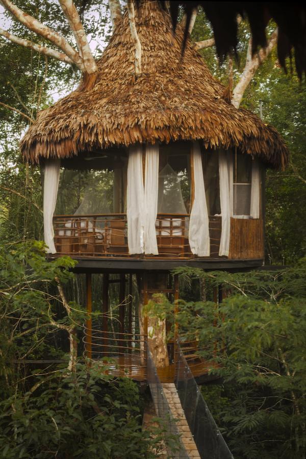 Treehouse Lodge Yucuruche Eksteriør billede