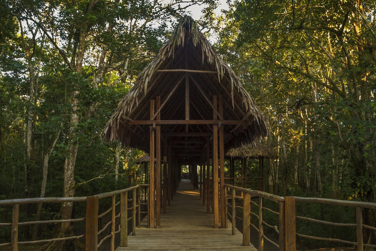 Treehouse Lodge Yucuruche Eksteriør billede