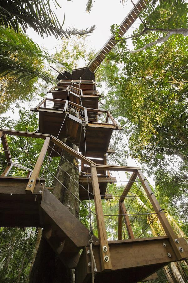 Treehouse Lodge Yucuruche Værelse billede