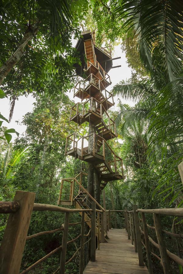 Treehouse Lodge Yucuruche Eksteriør billede