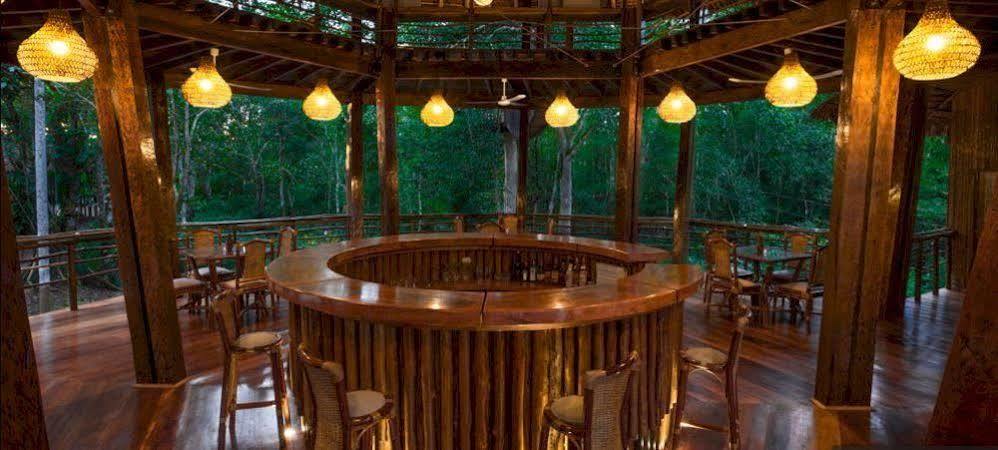 Treehouse Lodge Yucuruche Eksteriør billede