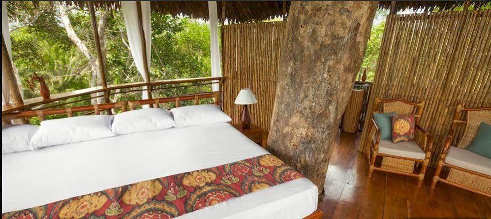 Treehouse Lodge Yucuruche Eksteriør billede