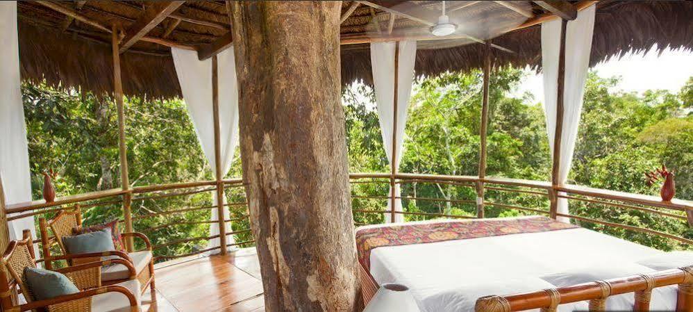 Treehouse Lodge Yucuruche Eksteriør billede