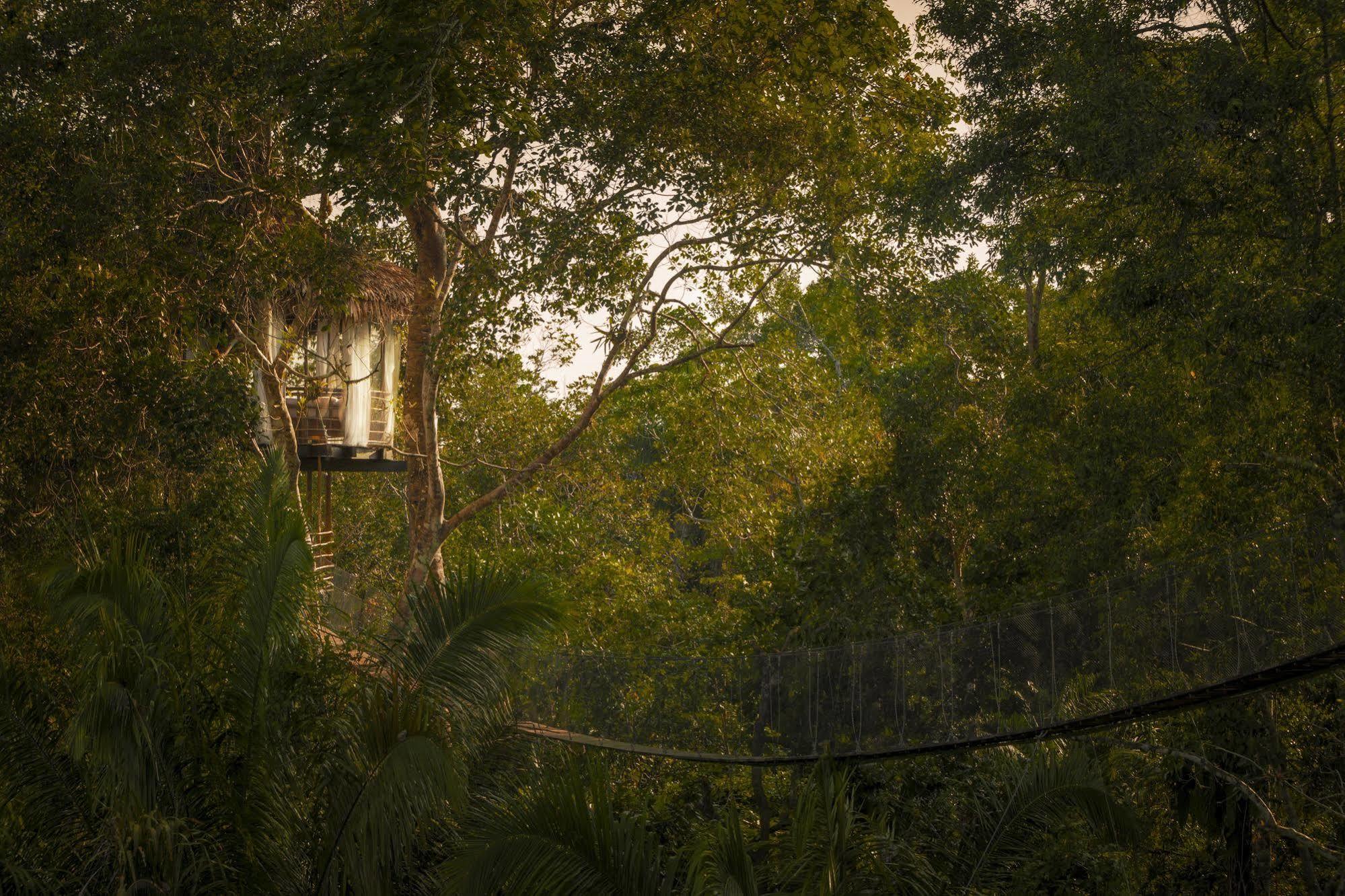 Treehouse Lodge Yucuruche Eksteriør billede